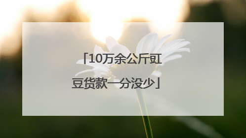 10万余公斤豇豆货款一分没少