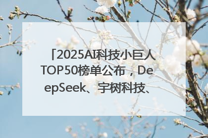 2025AI科技小巨人TOP50榜单公布，DeepSeek、宇树科技、蘑菇车联等企业荣誉上榜