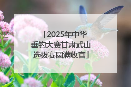 2025年中华垂钓大赛甘肃武山选拔赛圆满收官