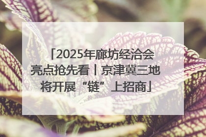 2025年廊坊经洽会亮点抢先看丨京津冀三地将开展“链”上招商