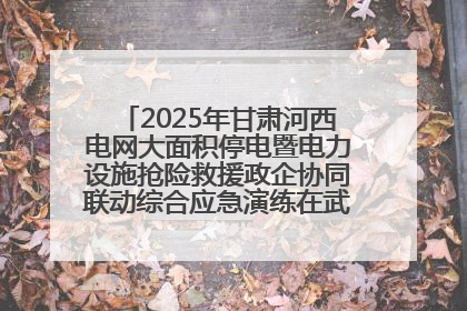 2025年甘肃河西电网大面积停电暨电力设施抢险救援政企协同联动综合应急演练在武威成功举行