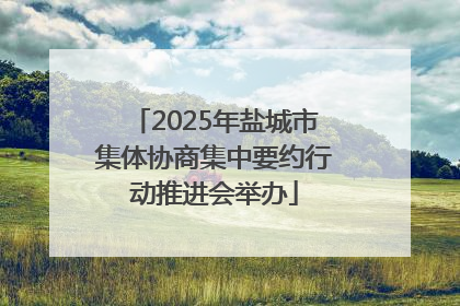 2025年盐城市集体协商集中要约行动推进会举办