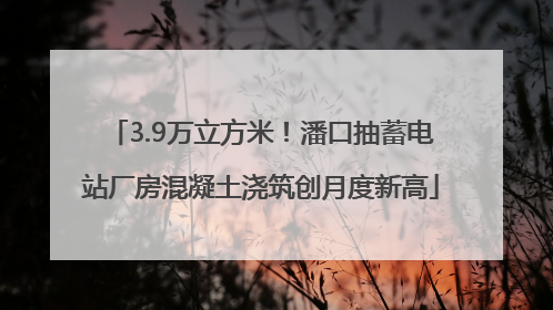 3.9万立方米！潘口抽蓄电站厂房混凝土浇筑创月度新高