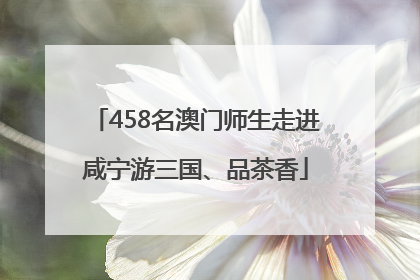 458名澳门师生走进咸宁游三国、品茶香