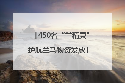 450名“兰精灵”护航兰马物资发放