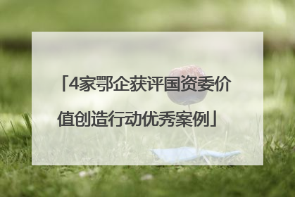 4家鄂企获评国资委价值创造行动优秀案例