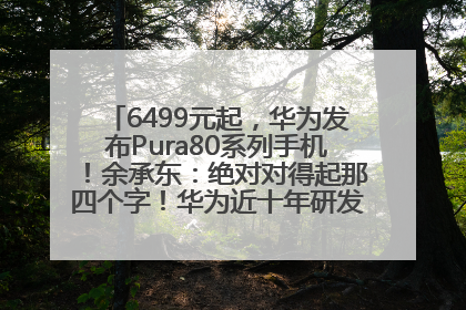 6499元起，华为发布Pura80系列手机！余承东：绝对对得起那四个字！华为近十年研发投入12490亿元