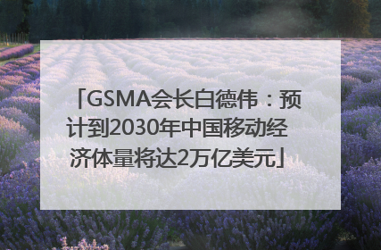 GSMA会长白德伟：预计到2030年中国移动经济体量将达2万亿美元