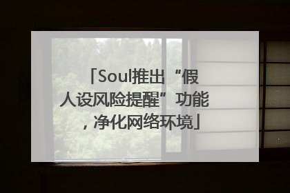 Soul推出“假人设风险提醒”功能，净化网络环境